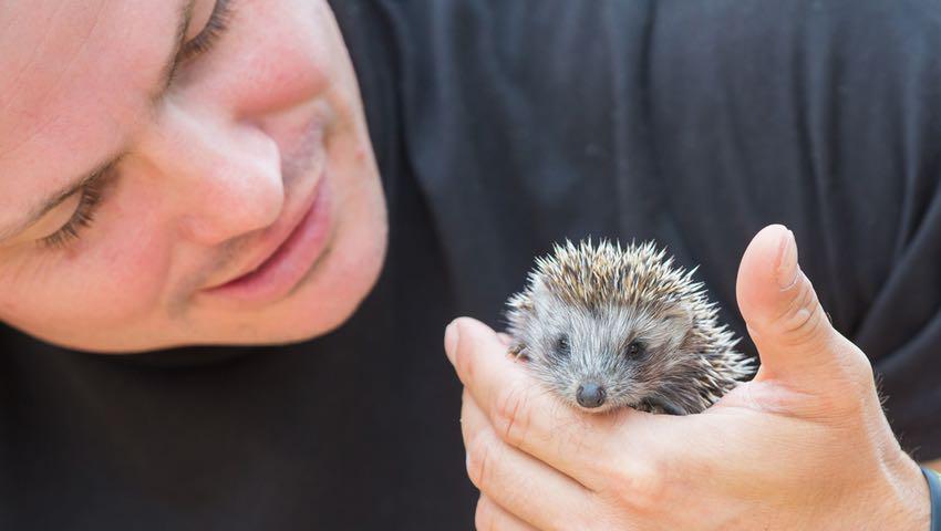 Young Man with Hedgehog Baby